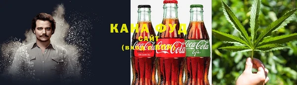стаф Корсаков