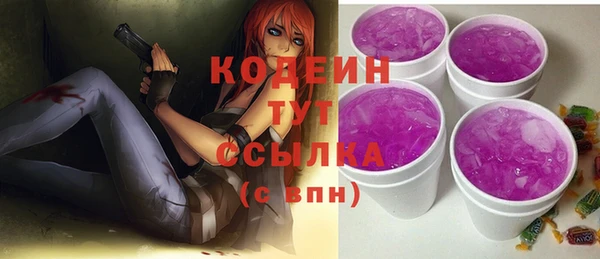 стаф Корсаков