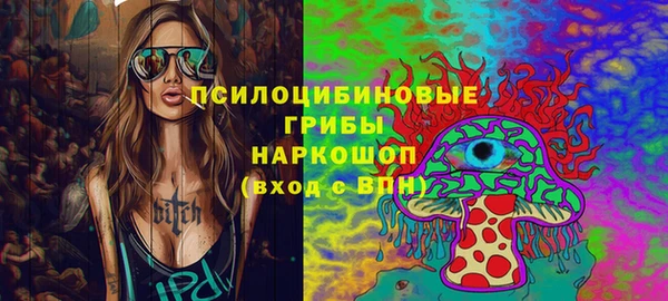 стаф Корсаков