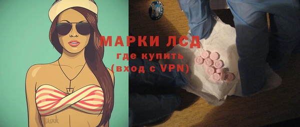 стаф Корсаков