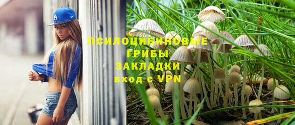 ALPHA PVP Коряжма