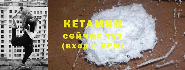 стаф Корсаков
