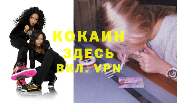 прущие грибы Краснослободск