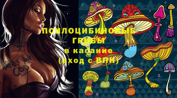 стаф Корсаков